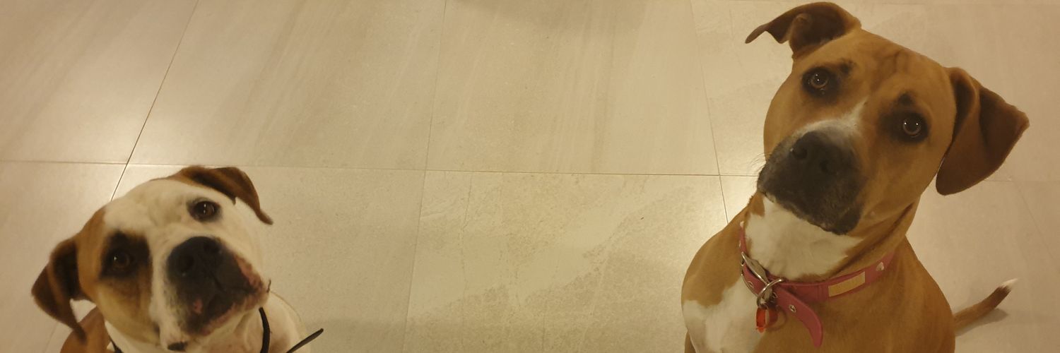 Michael8373's profile banner image
