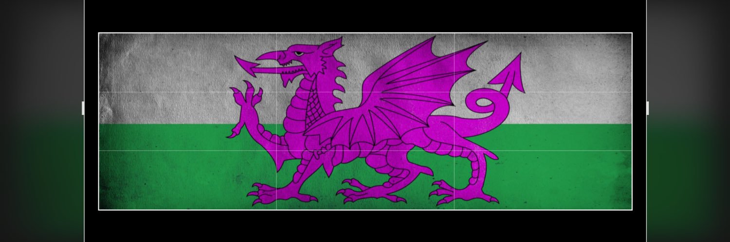 💚🤍💜Hoardosaurus - Radicalised by Reality 💚🤍💜's banner