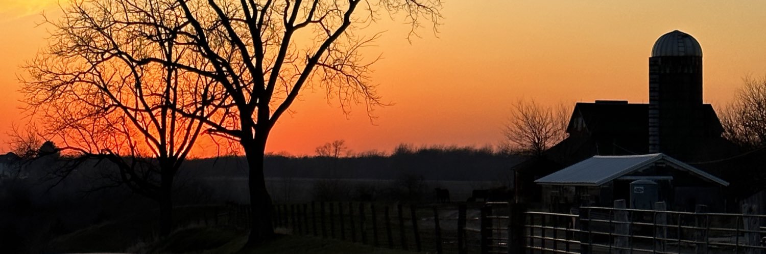 dotcox21's profile banner image