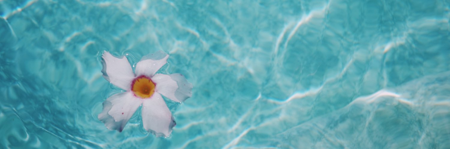 Lyn 🌊 banner