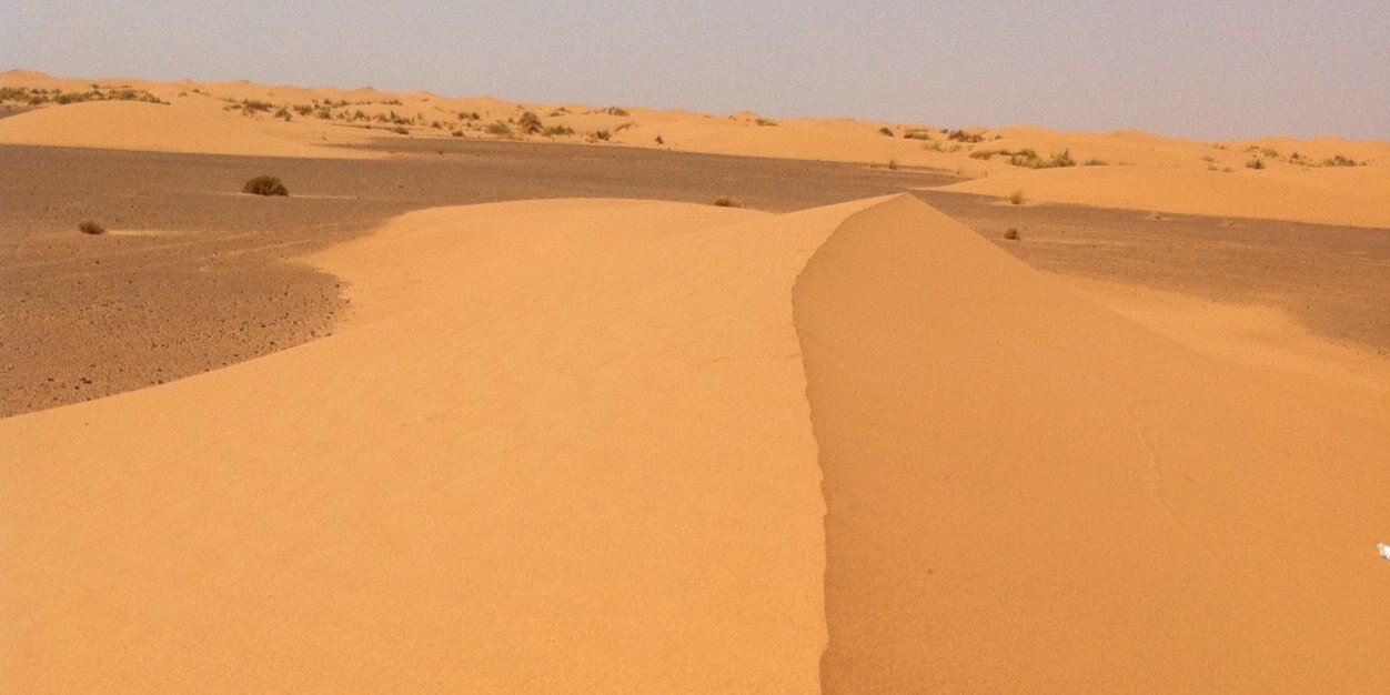 Núria Vilanova banner