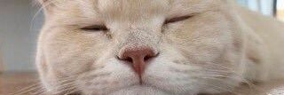 K banner