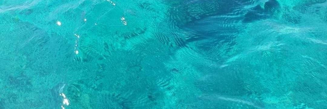 🇮🇹 Alexander 🇮🇹 banner