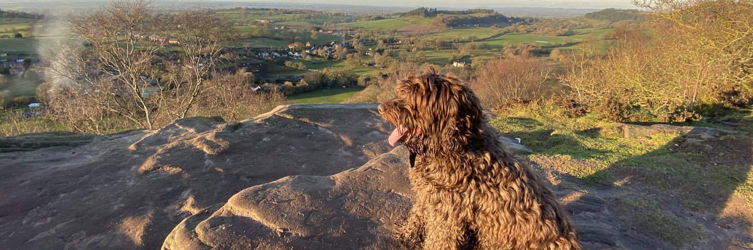 timcrossy's profile banner image