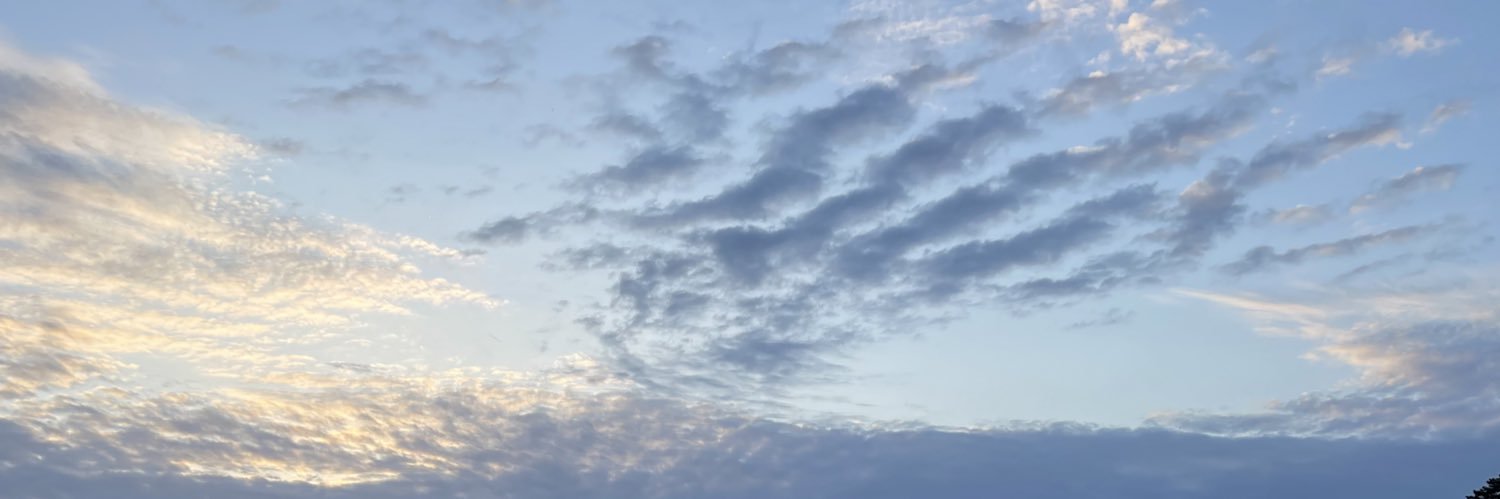mia22428's profile banner image