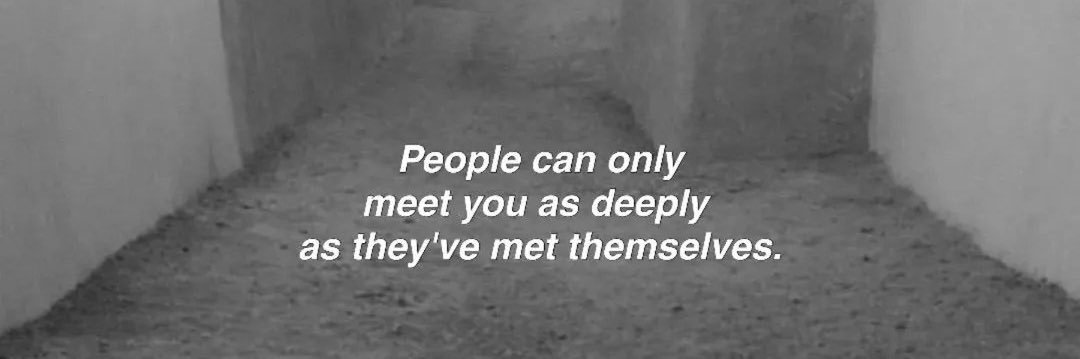 chronically emo banner