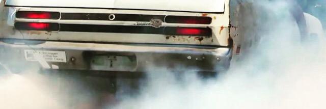 David Freiburger banner