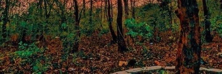 MUSTAFEEZ25783's profile banner image