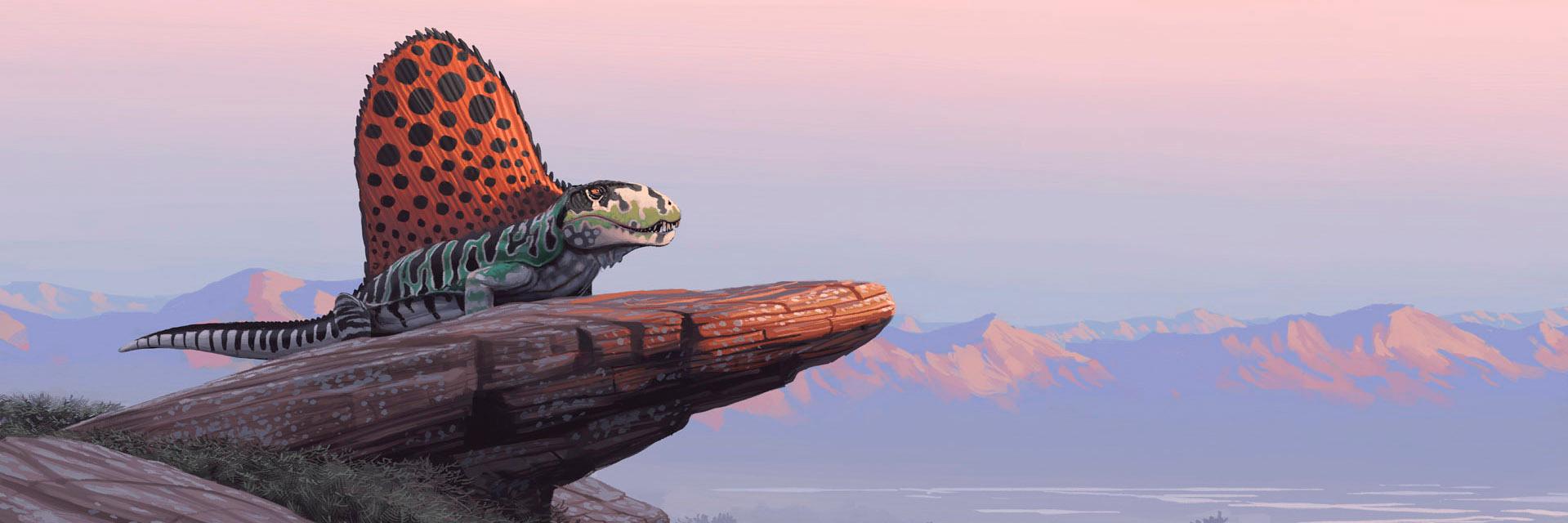enloz_'s profile banner image