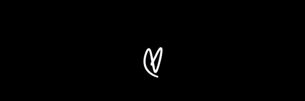 lwmerch banner