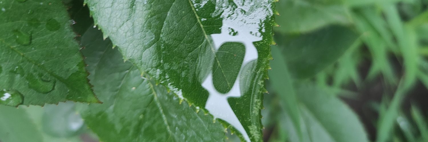 Робинзон Крузо banner
