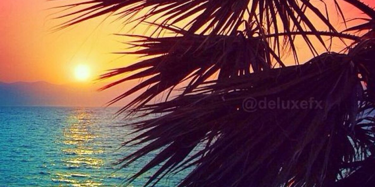 pia_surf's profile banner image