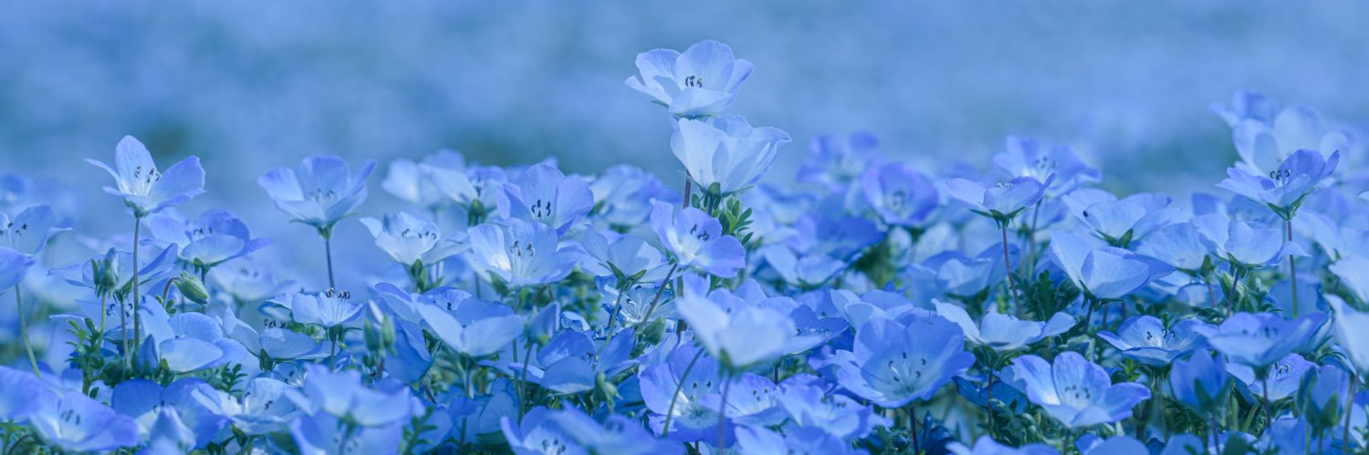 ame2_fure2_'s profile banner image