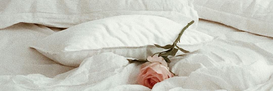 Patrilicas's profile banner image
