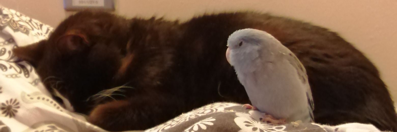 sezzcooper's profile banner image