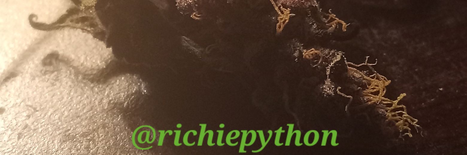 Richie 🇺🇸 banner