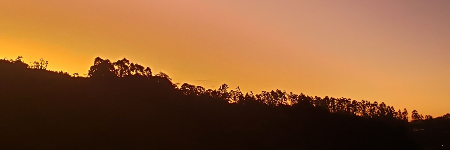 LorenciniRenata's profile banner image