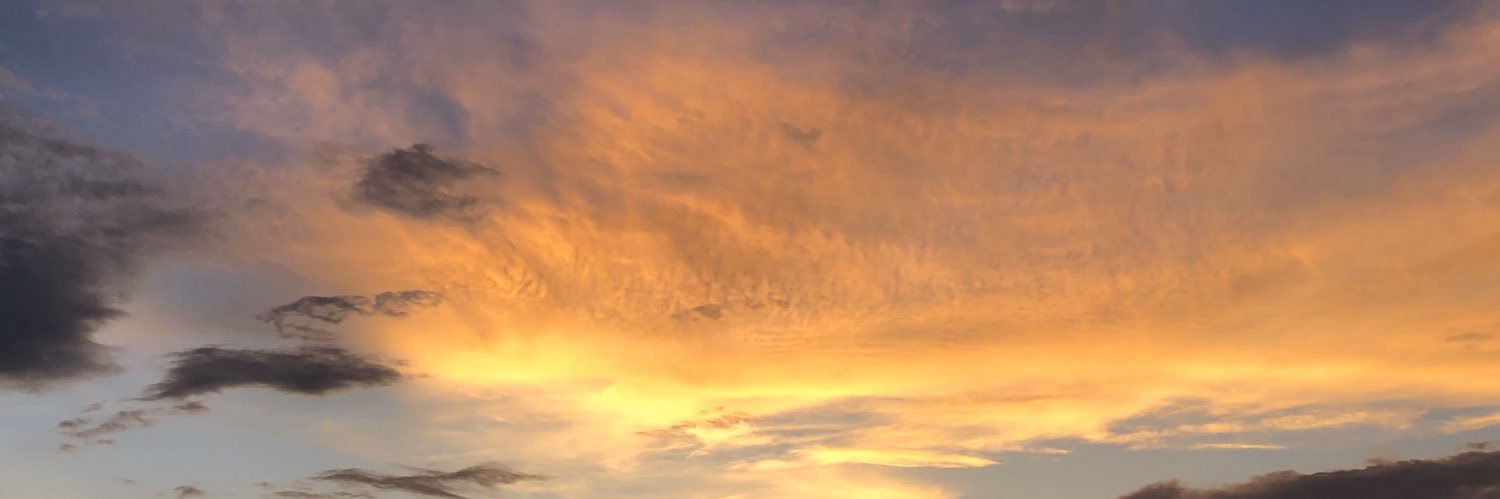 46nayuta's profile banner image
