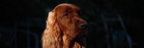windy56's profile banner image