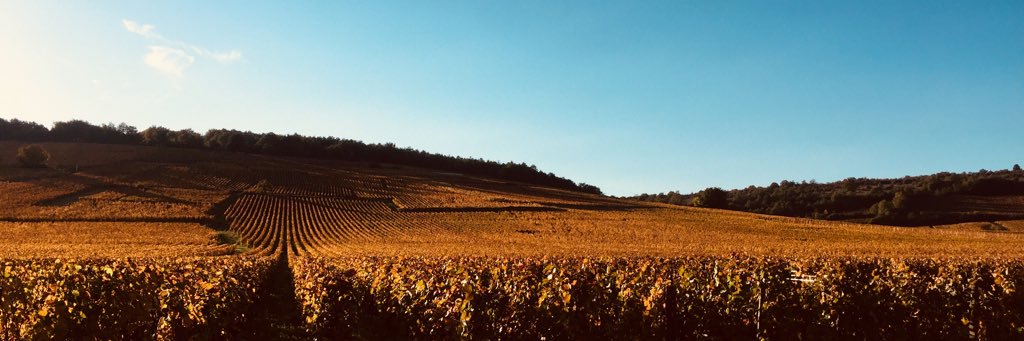 renauddubert's profile banner image