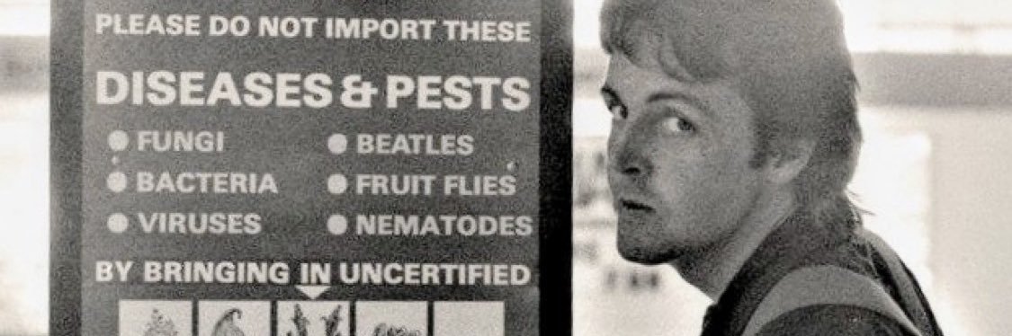 spidersfromars's profile banner image
