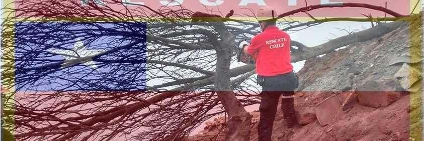 Fundación RESCATE CHILE banner