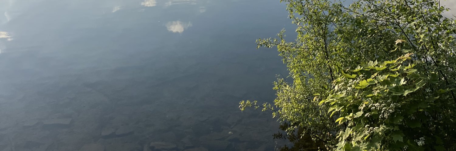 matthewm86's profile banner image