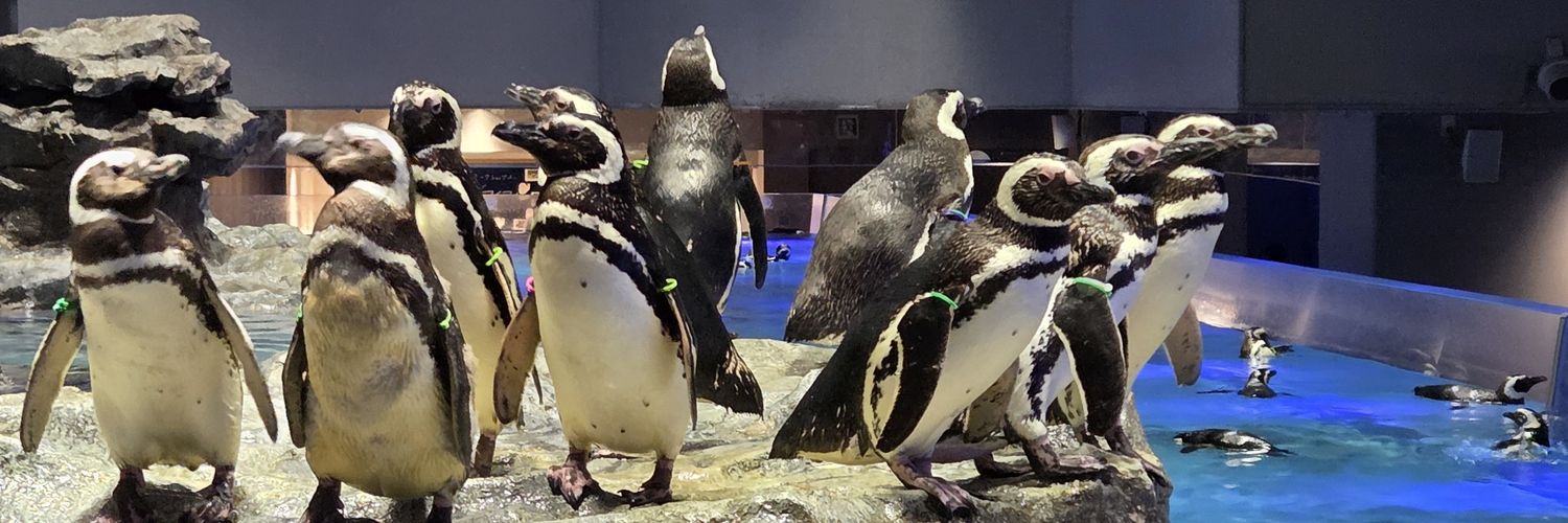 墨乃/ガゾ banner