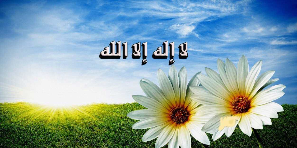 rashd12125's profile banner image