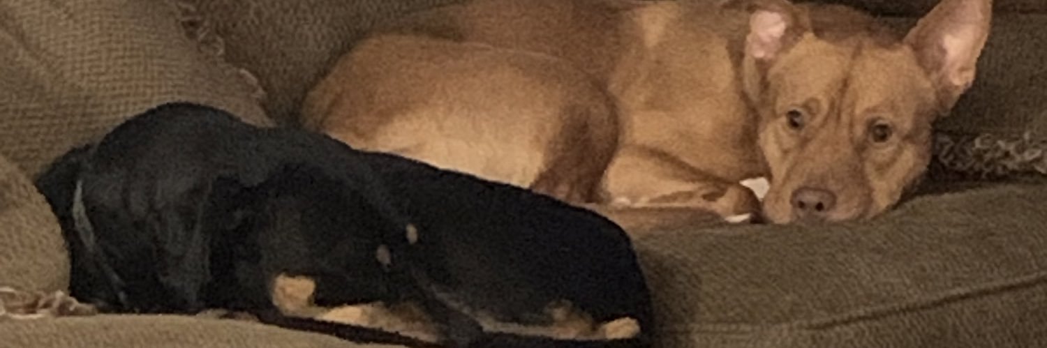 blake5085's profile banner image