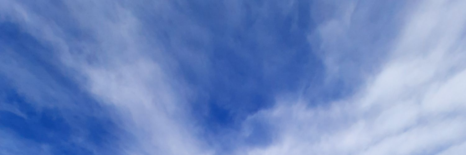 camicb_'s profile banner image