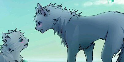 MeadowBlaze5's profile banner image