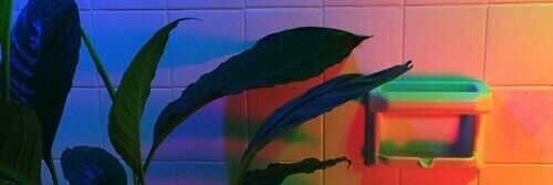 faakestraight's profile banner image