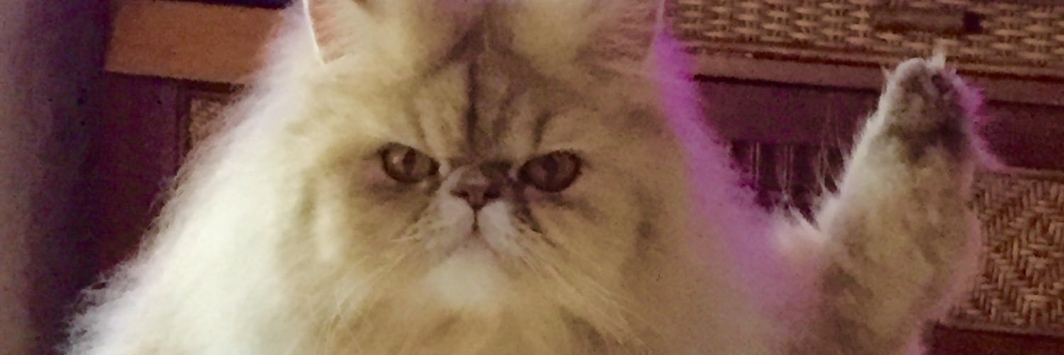 Clamalalu's profile banner image