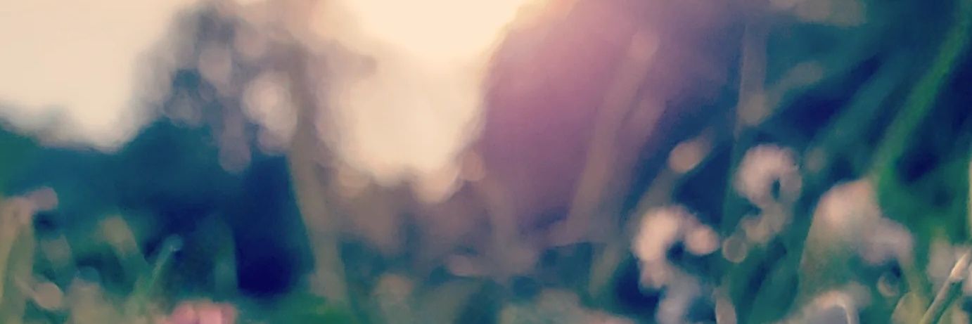 Aline Fqpeh ⭐ banner