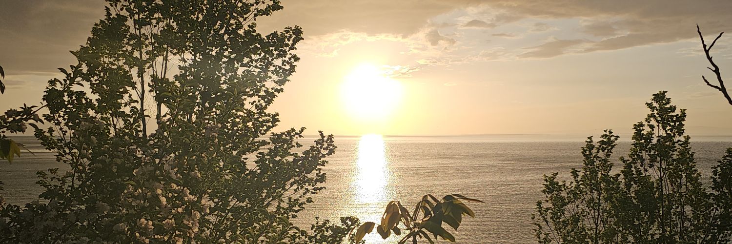 M.Nurettin ARAS🇹🇷 banner