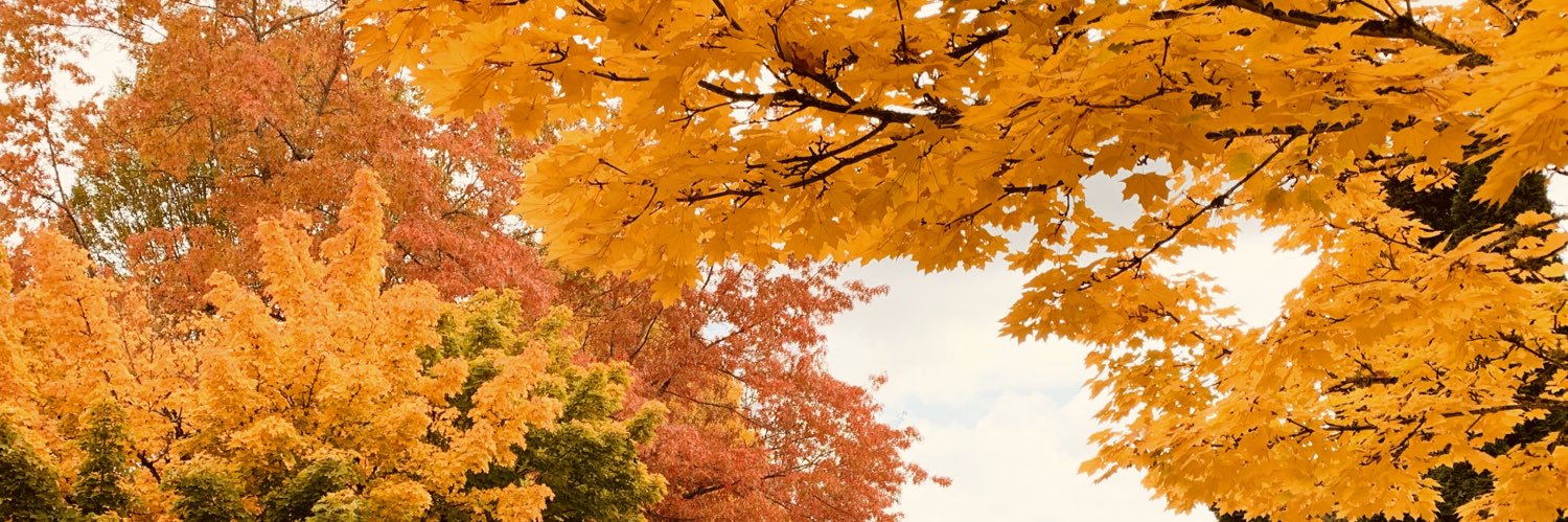 Timothy林云飞🇺🇸 banner