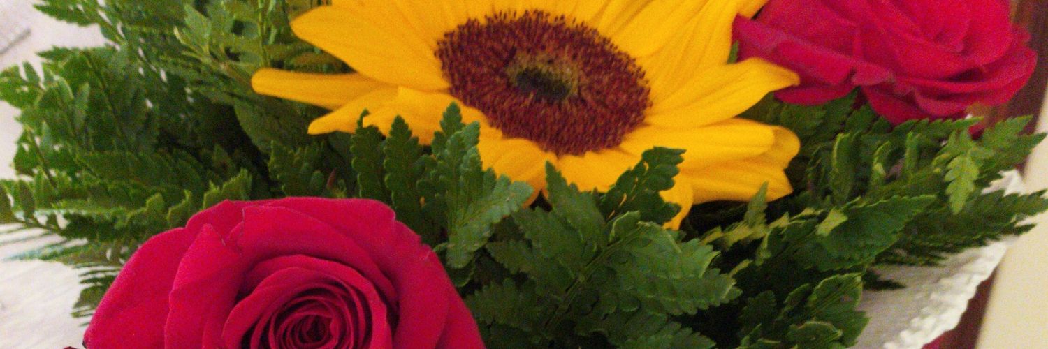 Daniela Vargas banner