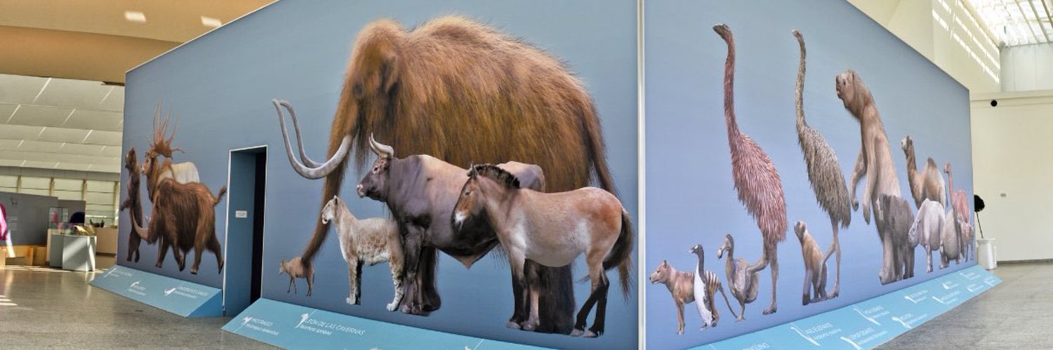 museoevolucion's profile banner image