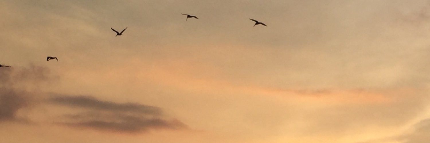 isagomezy's profile banner image