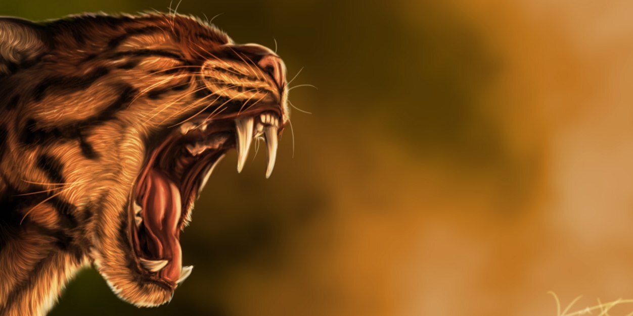 UofA_Football's profile banner image