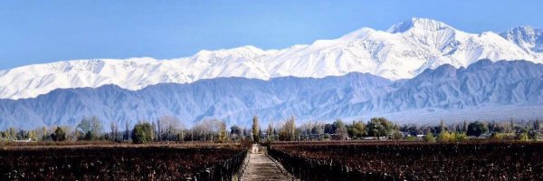 _vicks__ Profile Banner