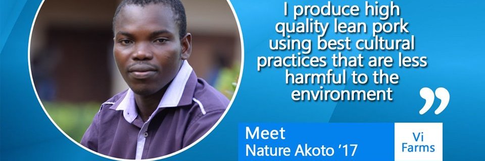 Natureakoto's profile banner image