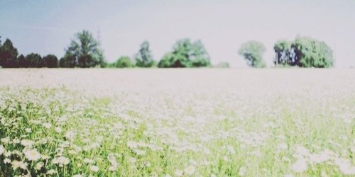 jamiebrbgdr's profile banner image