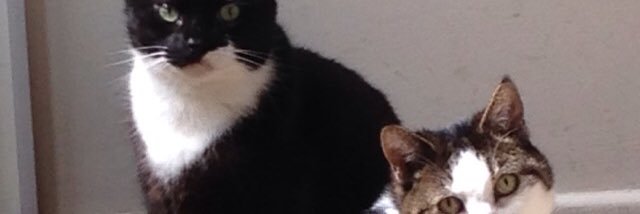jscottwhittaker's profile banner image