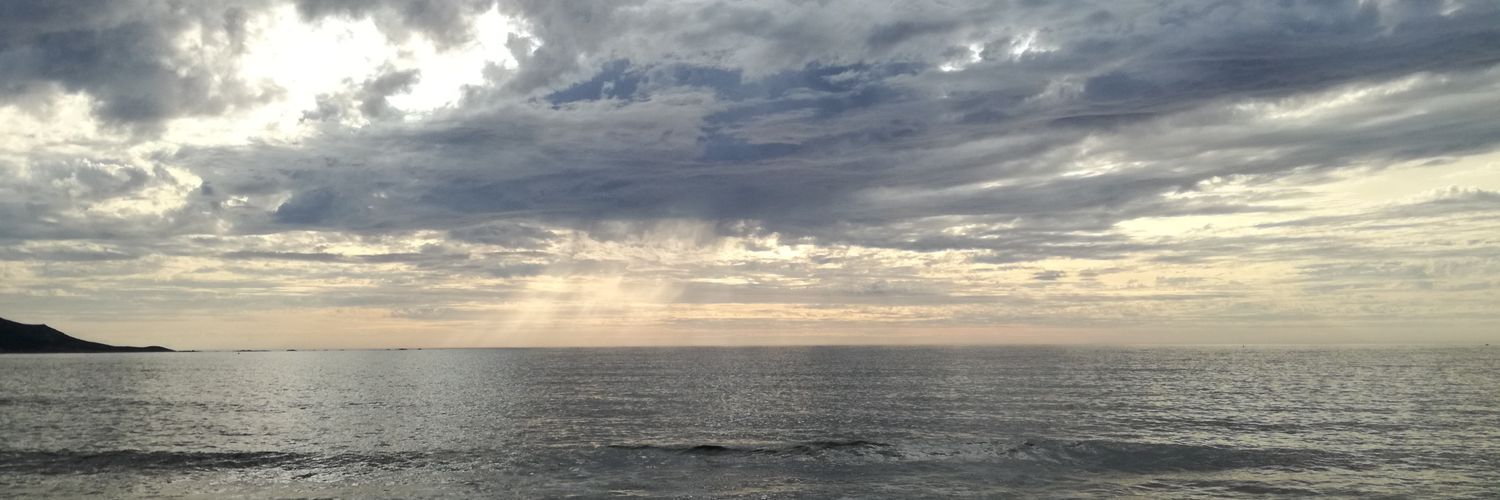 angelaflute's profile banner image