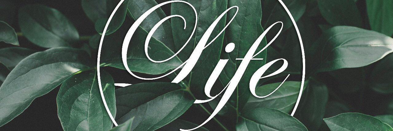iamlifecentral's profile banner image