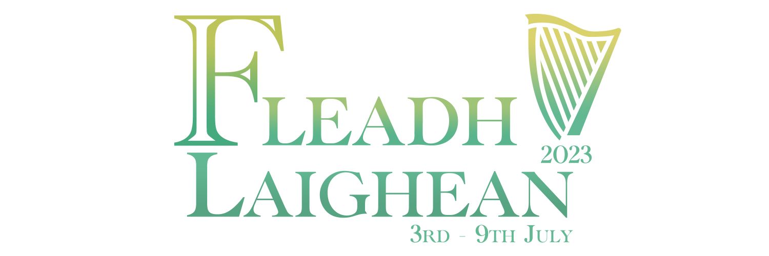 Leinster Fleadh banner