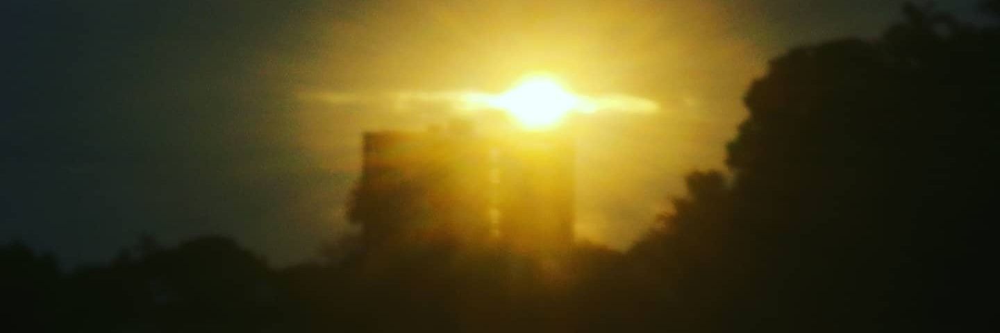 David Felgueroso banner