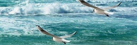 Jorge_puig46's profile banner image